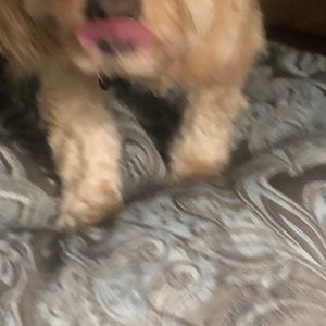 Meet your Posher, Kim